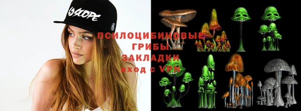 ГАЛЛЮЦИНОГЕННЫЕ ГРИБЫ Сосновый Бор