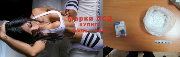 ГАЛЛЮЦИНОГЕННЫЕ ГРИБЫ Сосновый Бор
