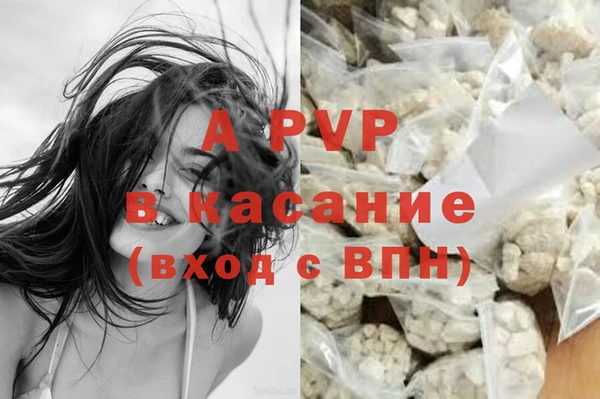 прущие крисы Сосновоборск
