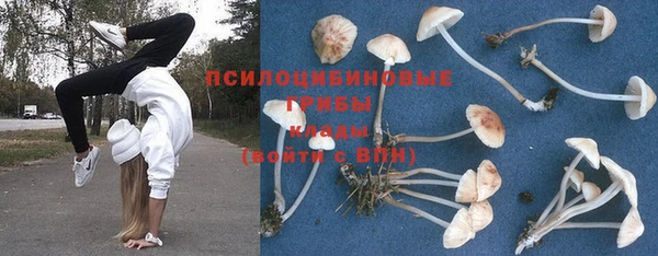 винт Сосновка