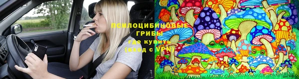ГАЛЛЮЦИНОГЕННЫЕ ГРИБЫ Сосновый Бор