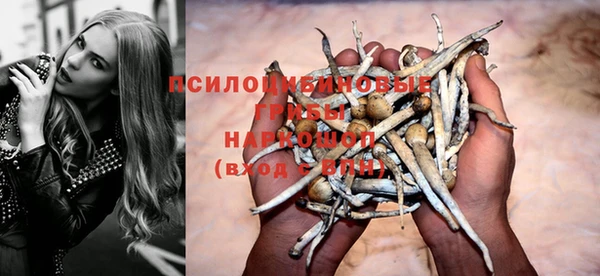 герыч Снежногорск
