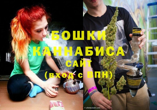 молекула духа Арсеньев