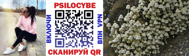 Псилоцибиновые грибы Magic Shrooms  купить закладку  Ростов-на-Дону 