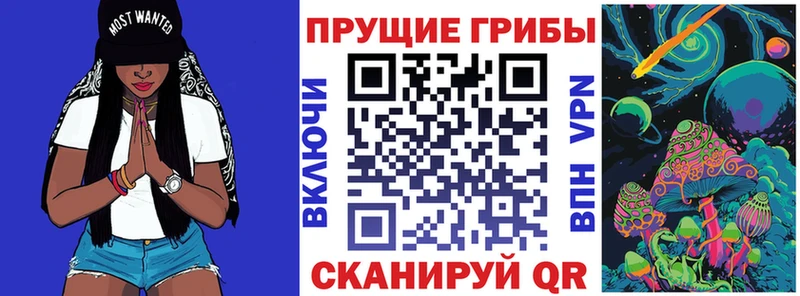 Псилоцибиновые грибы Cubensis Ростов-на-Дону