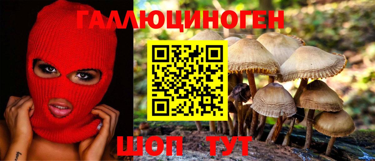 Галлюциногенные грибы мицелий Ростов-на-Дону