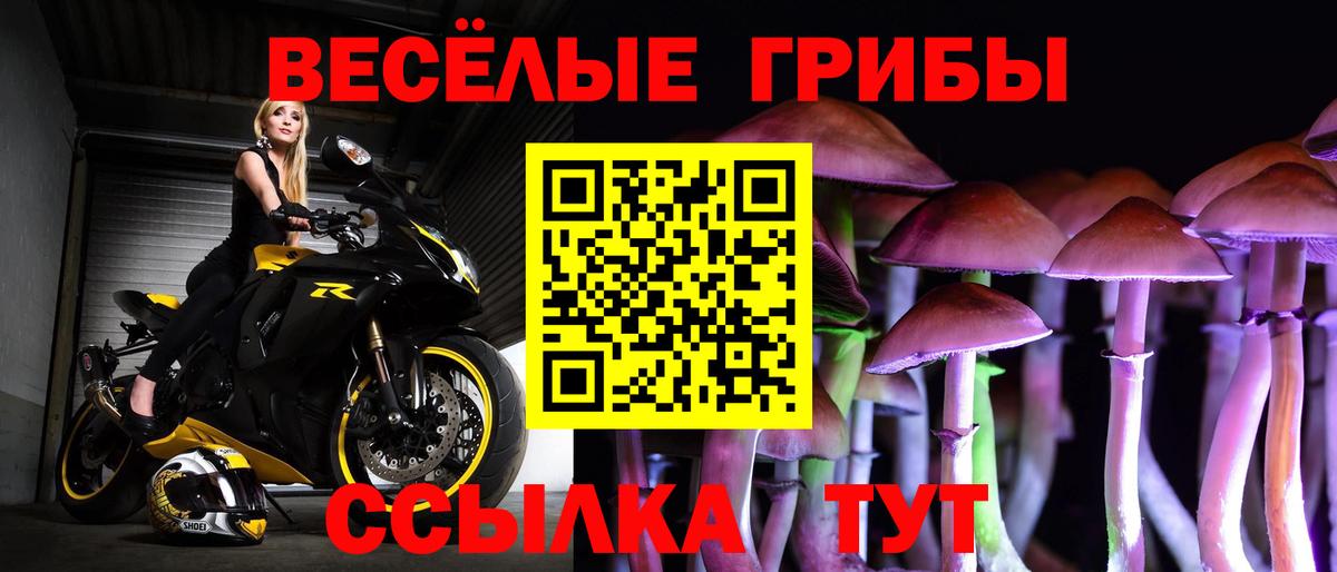 Галлюциногенные грибы Psilocybine cubensis  Галлюциногенные грибы ЛСД  Вход с VPN  Ростов-на-Дону 